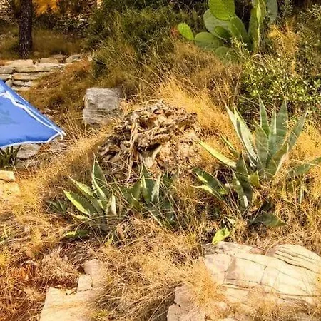 Seafront Dana - Two Bedroom With Terrace And Sea View Apartment *