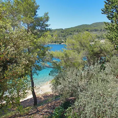 Apartment Seafront Dana - Two Bedroom With Terrace And Sea View Vela Luka