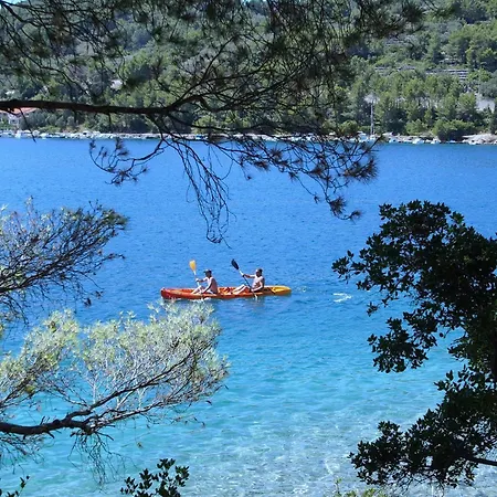 Seafront Dana - Two Bedroom With Terrace And Sea View * Vela Luka