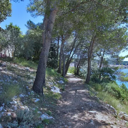 Apartment Seafront Dana - Two Bedroom With Terrace And Sea View Vela Luka