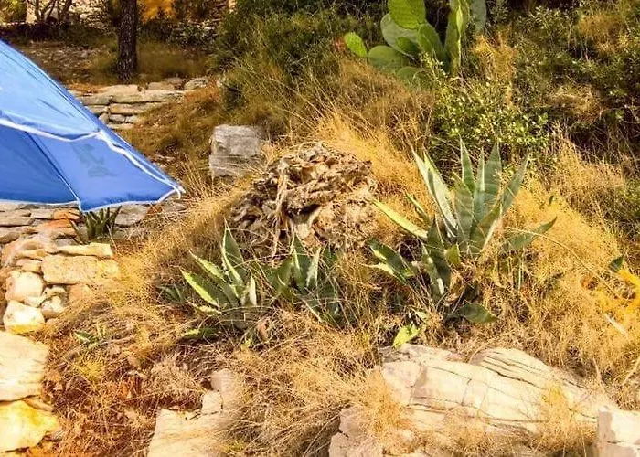 Seafront Dana - Two Bedroom With Terrace And Sea View 公寓 *