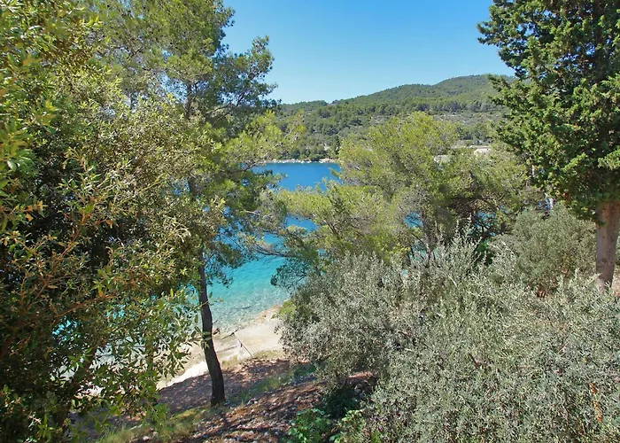 公寓 Seafront Dana - Two Bedroom With Terrace And Sea View 尼亚卢卡